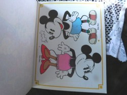 mickey and minnie pd b
